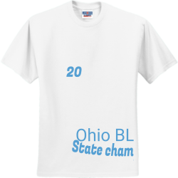 Ohio-blizzards-team-t---shirts Men's 50/50 Cotton/Polyester T-Shirts Jerzees 29M