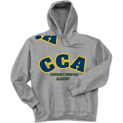 CCA Men's 100% Cotton Hoodies Hanes F170